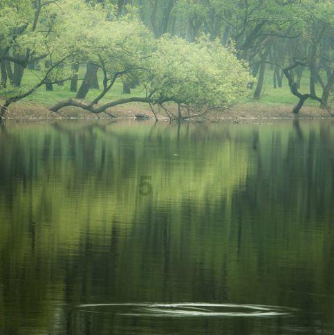 《幻兽帕鲁》飞行帕鲁大全及捕捉说明