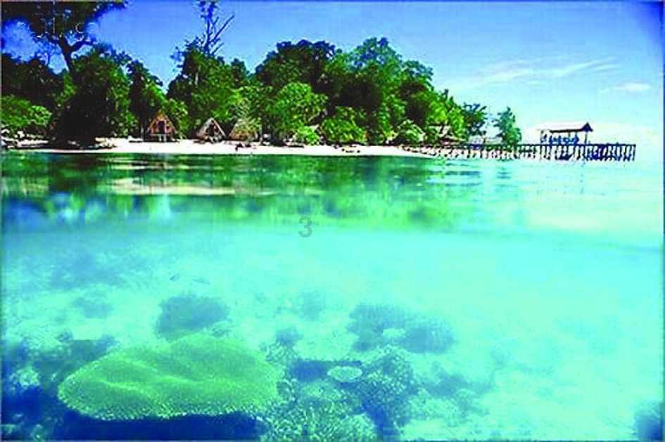 奥莉的夏威夷之旅